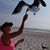Lisa Demsko-Tiff's profile image