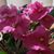 Ann Wellen's profile image