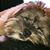 Alwen Wooey's profile image