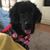 Tina Hammel's profile image
