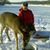 Pete Travaglio's profile image