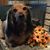Cathy Riddle Craig's profile image