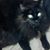 Bryan Cosgrove's profile image