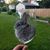 Richard Bushway's profile image