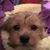 Wendy Arthur's profile image