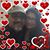 Chacho Soto's profile image