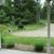 Linda Rodkey's profile image