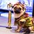 Viki Anders's profile image