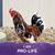 Erin Wigginton's profile image