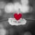 Janet Nickerson Riggins's profile image