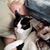 Kimberly Bevel's profile image