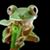 Behr Lvr's profile image