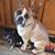 Terri Lamb's profile image
