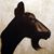 Ken Foster's profile image