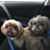 Michelle Soileau Crochet's profile image