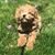 Rosemary Borges's profile image