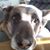 Eric S Soappman's profile image