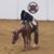 Susan Robinson's profile image