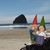 Mike-Farrel Cornwall's profile image