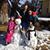 Samantha Ottemoeller-Liles's profile image