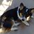 Joanie Hawkins's profile image