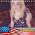 Shari Gerber's profile image