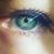 Tracie VanderLinden's profile image