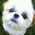 Kathi Kincaid's profile image