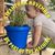 Megan Taylor Owen's profile image