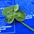Diane Moylan's profile image