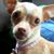 Christina Maples Melvin's profile image