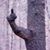 Preston LaForme's profile image