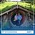 Julia Seaman Drier's profile image