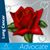 Nancy Daniels Henn's profile image