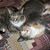 Kristy Wallin Barsness's profile image