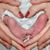 Fabiola Soto's profile image