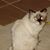 Mark Alan Herdt's profile image