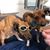 Linda Robinson's profile image