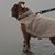 Cindy Kirchmeier's profile image