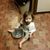 Susan Sandman Ross's profile image
