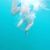 Edward Viljoen's profile image