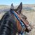 Lorie Hartman's profile image