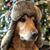 Ryan Mazon's profile image