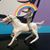 J.D. Sanchez II's profile image