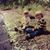 Heidi Holmquist's profile image