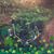 Jackie Ross Kalisch's profile image