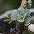 Deirdre Piccoli Houlahan's profile image