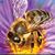 Erica Hollfelder-Boller's profile image