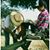 Iris Del-Betan's profile image