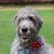 Stacey Thompson's profile image